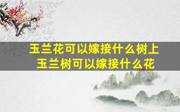 玉兰花可以嫁接什么树上 玉兰树可以嫁接什么花